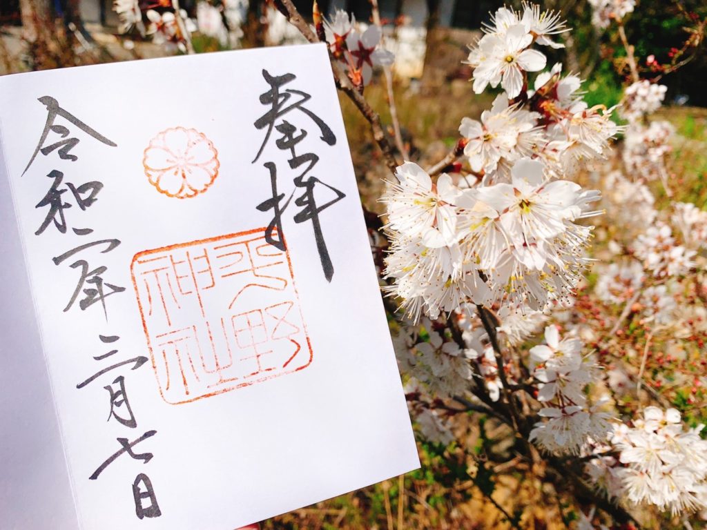 平野神社　桜　御朱印